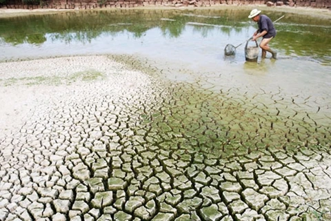 Le Vietnam accueillera un Dialogue de haut rang sur les changements climatiques