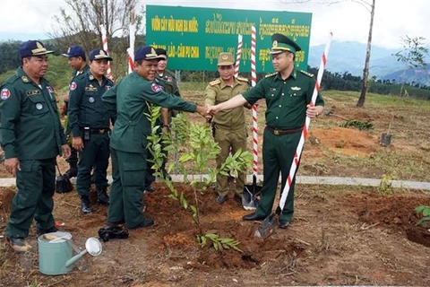 Plantation d’arbres au carrefour des frontières Vietnam - Laos - Cambodge