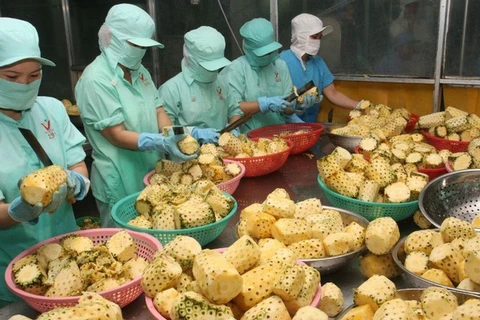 Exportations de produits agricoles: le Vietnam au 2e rang en Asie du Sud-Est, 15e dans le monde