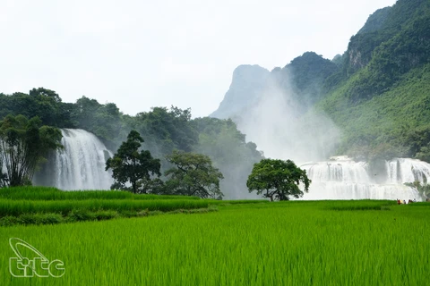 Cao Bang : bientôt la 2e fête touristique de la chute d’eau de Ban Giôc