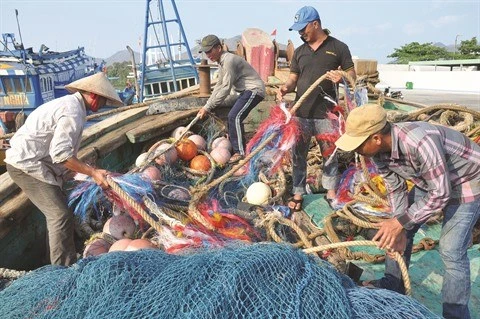 L'avertissement ‘’carte jaune’’ affecte l'exportation de fruits de mer vietnamiens vers l'UE