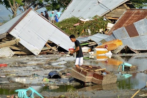 Aucune information sur les Vietnamiens morts ou blessés lors du séisme et du tsunami en Indonésie