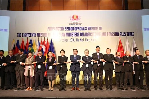 Conférence des hauts officiels des secteurs agricole, sylvicole et aquatique de l’ASEAN+3