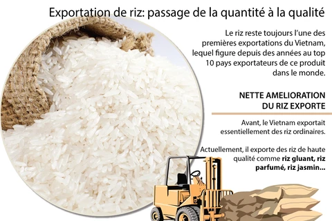 [Infographie] Exportation de riz: passage de la quantité à la qualité