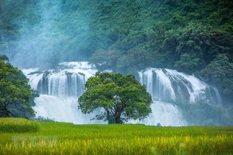 Cao Bang : ouverture de la 2e fête touristique de la cascade de Ban Gioc 