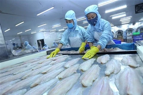 Exportations des poissons tra aux Etats-Unis en forte hausse au 3e trimestre