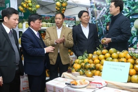 Promotion du commerce des spécialités régionales du Vietnam