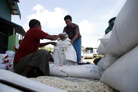 Le Myanmar va exporter 500 millions de dollars de riz en Chine 