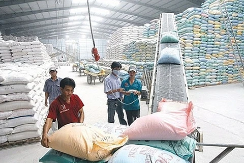 De nouvelles solutions pour stimuler les exportations de riz face aux défis du marché