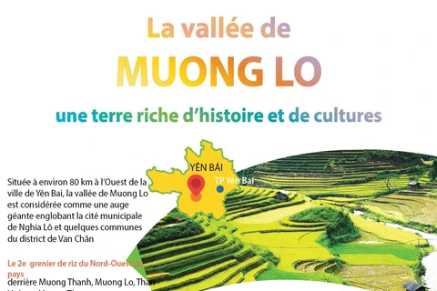 La vallée de Muong Lo, une terre riche d'histoire et de cultures