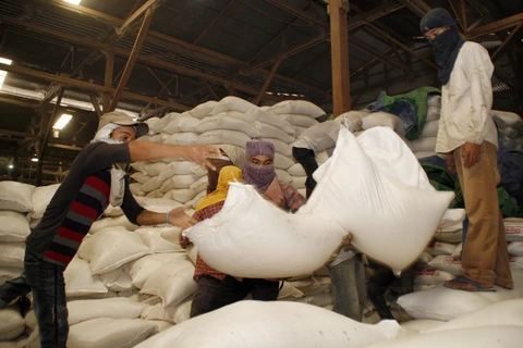Le Cambodge atteindra bientôt son objectif d'exporter un million de tonnes de riz l'après-COVID-19