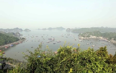Le Vietnam s’efforce de préserver ses réserves de biosphère