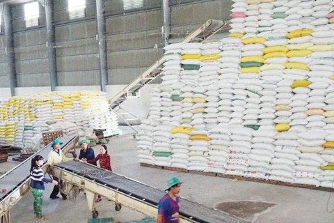 Le Vietnam exporte plus de 5,7 millions de tonnes de riz en onze mois