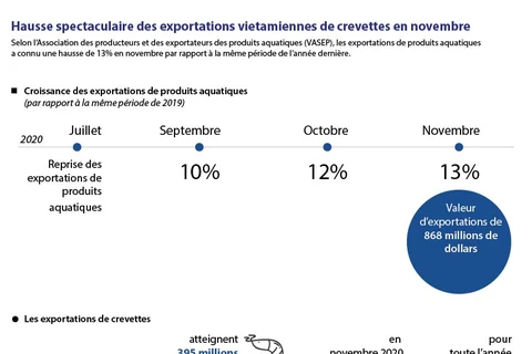 Hausse spectaculaire des exportations vietamiennes de crevettes en novembre