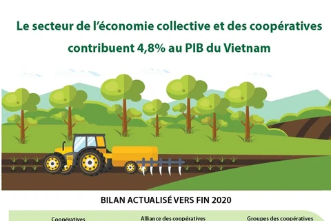 Le secteur de l’économie collective et des coopératives contribuent 4,8% au PIB du Vietnam