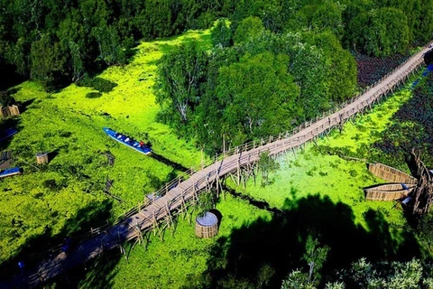 Visite printanière de la forêt de melaleuca Tra Su