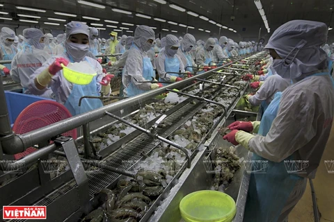 Vietnam : l’aquaculture sera un secteur économique national important