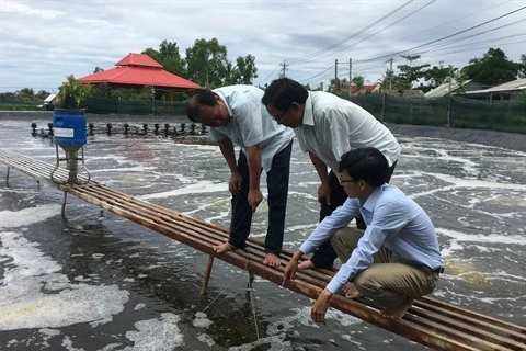 Des mesures pour développer la filière aquacole du Vietnam d’ici 2030