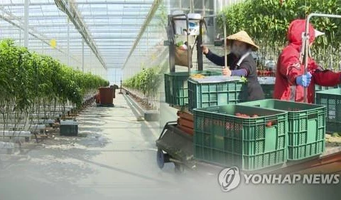 Les travailleurs vietnamiens bénéficient d'une prolongation d'un an de séjour en R.de Corée 