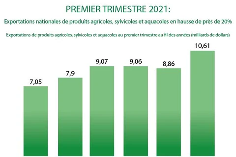 Exportations de produits agricoles, sylvicoles et aquacoles en hausse de 20% au 1er trimestre 