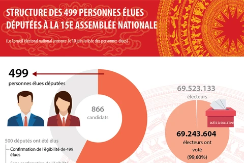 Structure des 499 personnes élues députées à la 15e Assemblée nationale