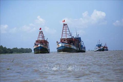 Pendant 2 trimestres consécutifs, Kiên Giang n'a détecté aucun bateau de pêche coupable d’INN 