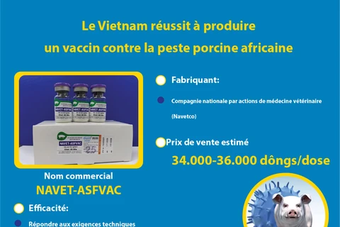 Le Vietnam réussit à produire un vaccin contre la peste porcine africaine 