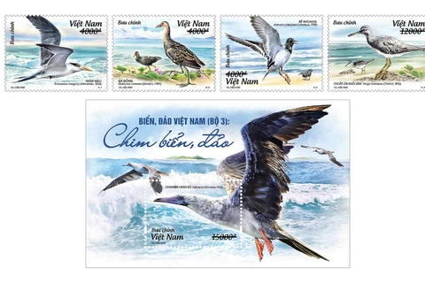 Bientôt une collection de timbres sur les oiseaux de mer du Vietnam