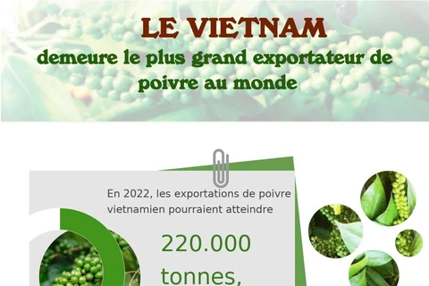 Le Vietnam demeure le plus grand exportateur de poivre au monde 