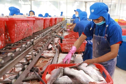 Les exportations de pangasius en 2022 devraient établir un record historique