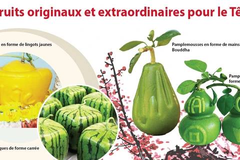 Fruits originaux et extraordinaires pour le Têt