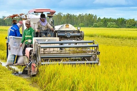 Le Vietnam oeuvre pour devenir un producteur et fournisseur alimentaire durable