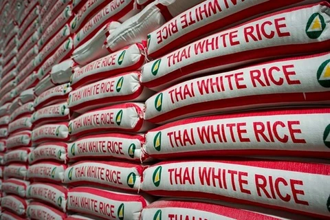 Thaïlande : chute des exportations de riz en février