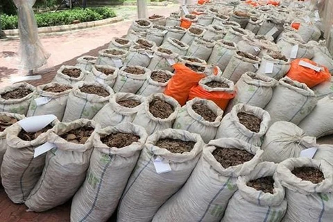 Singapour saisit près de 13 tonnes d'écailles de pangolin