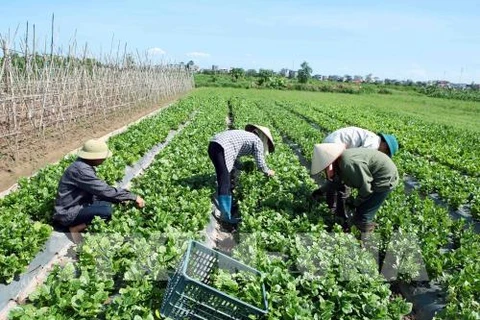 La société FLC FAM noue une coopération avec des entreprises agroalimentaires israéliennes