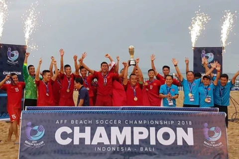 Le Vietnam remporte le Championnat de football de plage de l’ASEAN