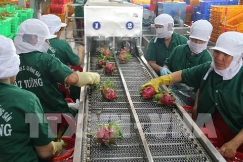 Tien Giang : le chiffre d'affaires à l'exportation atteint 2,7 milliards de dollars