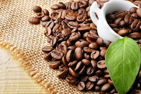Plus de 3,5 milliards de dollars d`exportations de café vietnamien en 2018