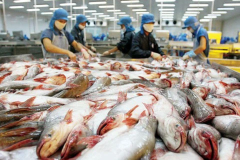 Le Vietnam, plus gros exportateur mondial de pangasius