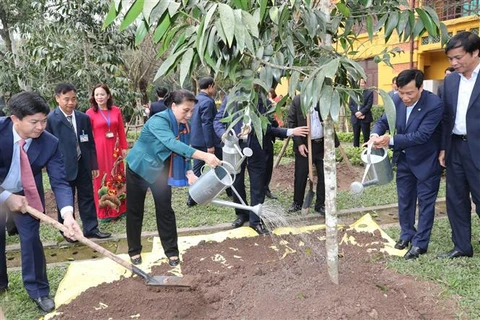 La présidente de l'AN plante un arbre dans la zone commémorative du Président Hô Chi Minh