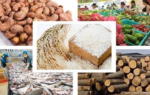 La liste de dix produits agricoles clés du Vietnam publiée