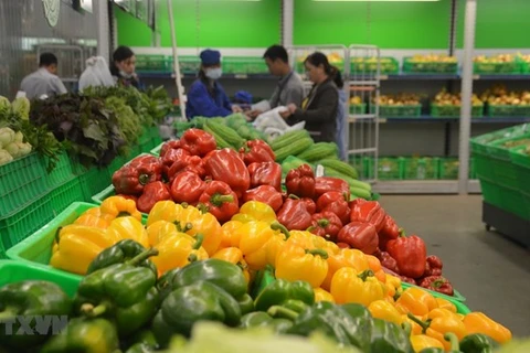 Les exportations de fruits et légumes rebondissent en avril
