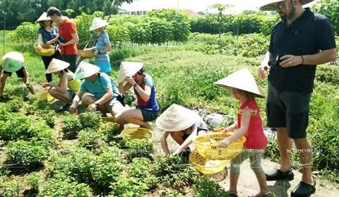 Promotion de l'agrotourisme à Ho Chi Minh-Ville