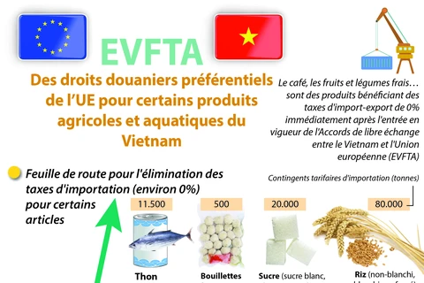 EVFTA: Des droits douaniers préférentiels de l’UE pour produits agricoles et aquatiques du Vietnam