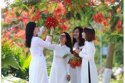 Fleurs d'été