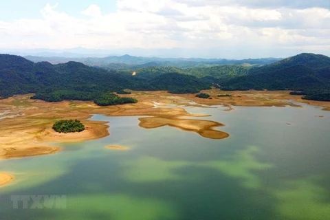 Le Vietnam s'efforce de protéger les zones humides - «berceau» de la biodiversité