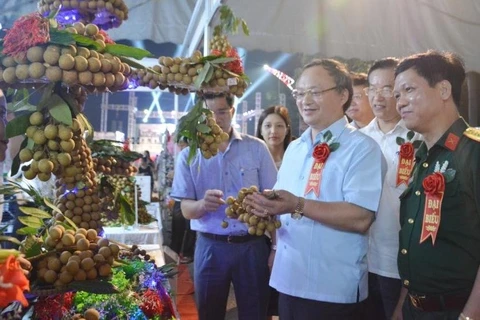 Ouverture de la Fête des longanes de Hung Yen 2020