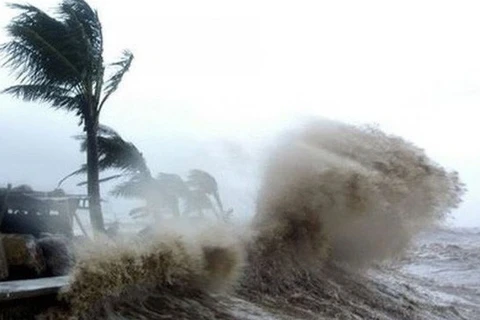 Télégramme officiel du gouvernement sur la lutte contre la tempête Sinlaku 