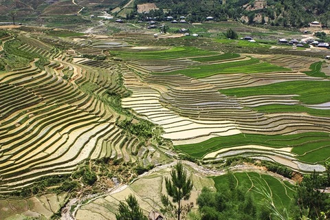 Mu Cang Chai, une peinture murale dans Nord-Ouest