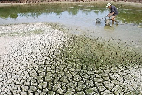 Surmonter les défis du changement climatique au Vietnam